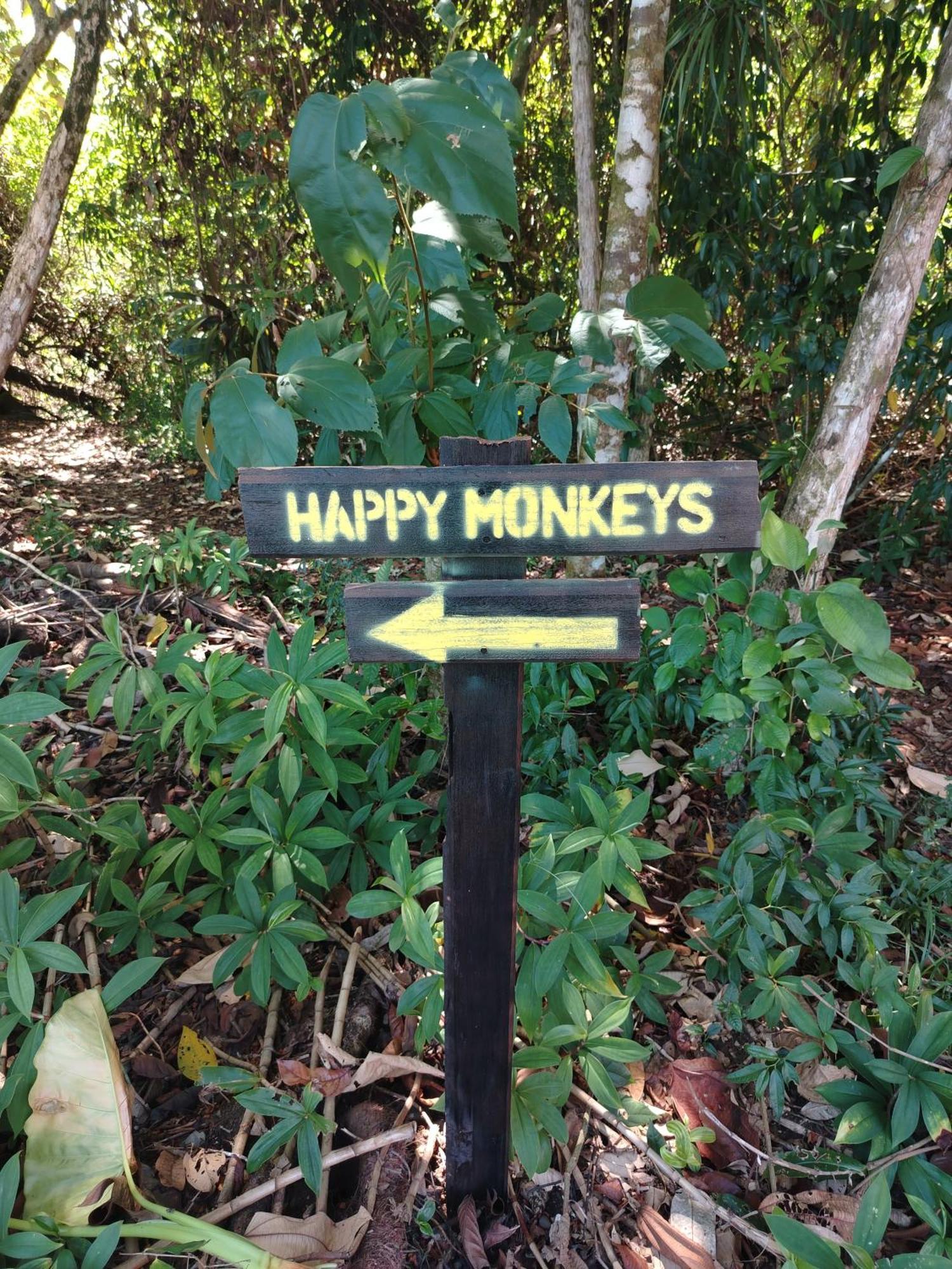 Vila Happy Monkeys Puerto Jiménez Exteriér fotografie